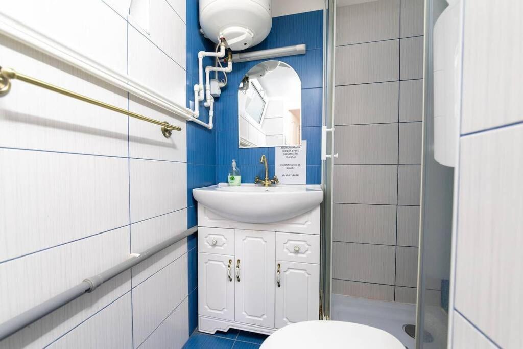 Cozybucharest Studio المظهر الخارجي الصورة